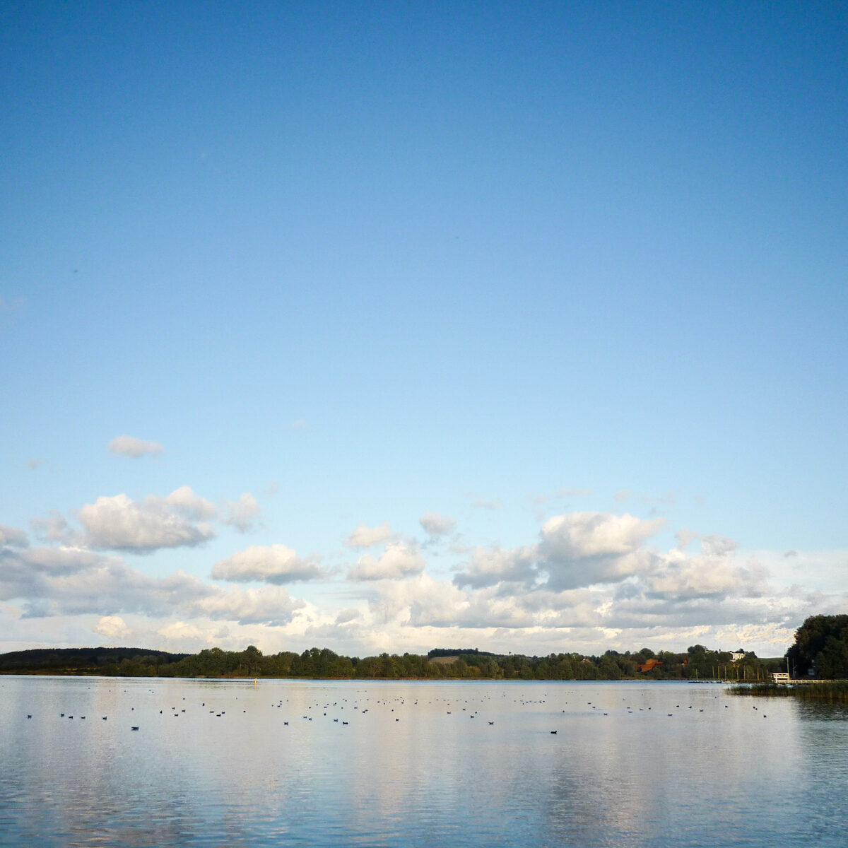 Blick über den Großen Segeberger See von der Seepromenade in Bad Segeberg