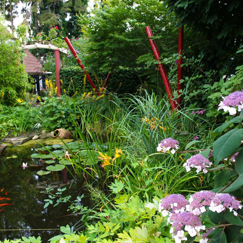 Blühender Garten mit großzügiger Rasenfläche und eingewachsenen Gehölzen