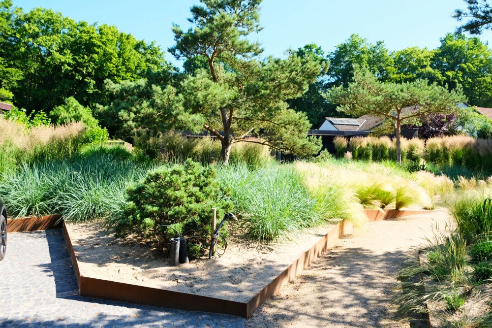 Weiter Blick über den fertigen Garten mit Solitärgehölz und Gräsern