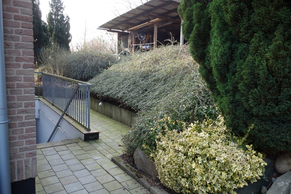 Böschung mit vorhandenen Gehölzen und befestigtem Weg am Haus